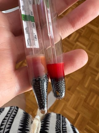 Termómetro para acuario