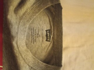 Camiseta Levi's Gris Junior