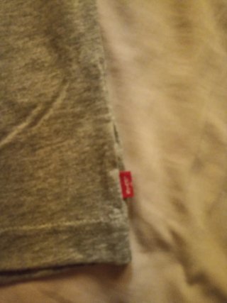 Camiseta Levi's Gris Junior