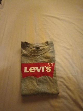 Camiseta Levi's Gris Junior
