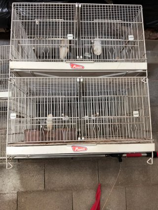 Jaulas grandes para animales