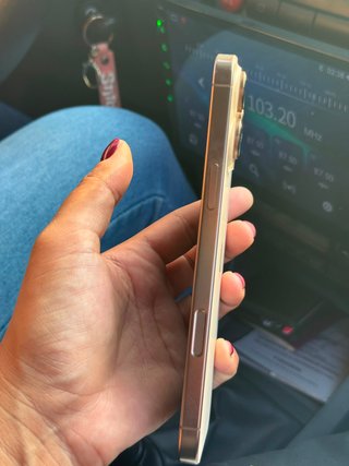 iPhone 16 Pro Max Apple