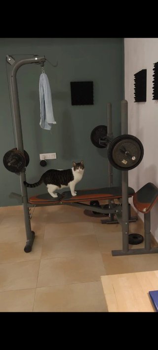 Máquina de gimnasio multiestación