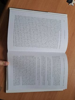 L'aventura del català de les "Homilies d'Organy...