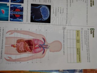 Biologia eta geologia, 3 DBH