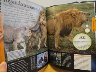 Libros de animales
