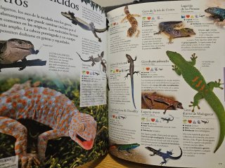 Libros de animales