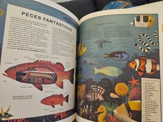 Libros de animales