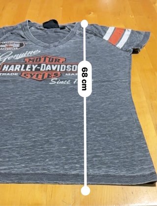 Camiseta Mujer Harley Davidson Gris
