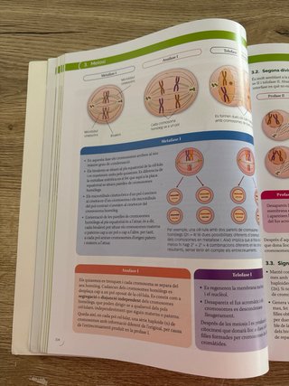 Biologia, 2 Batxillerat, Projecte Construint mons