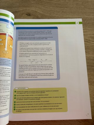 Biologia, 2 Batxillerat, Projecte Construint mons