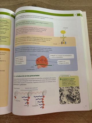 Biologia, 2 Batxillerat, Projecte Construint mons