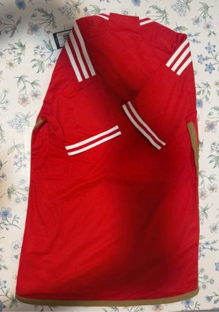 Camiseta nueva Original Benfica 24/25