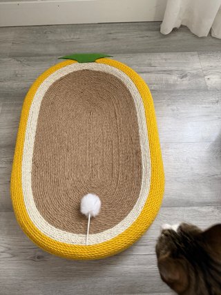 Cama rascador para gato con forma de piña