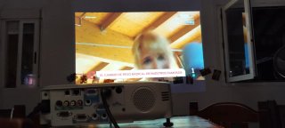 Proyector Epson EB-X20