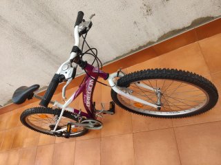 Bicicleta BH Oregon Pinky 24 niña