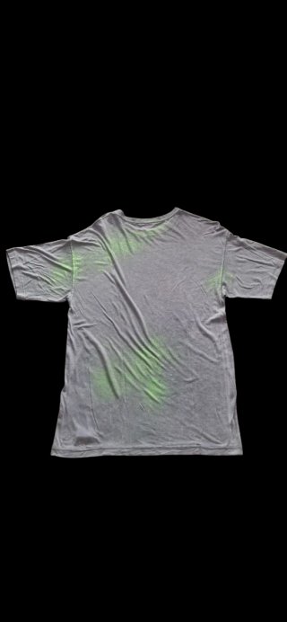 Camiseta Diesel Gris Talla M con Detalle Verde