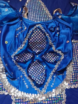 Tutú plato de ballet profesional azul hecho a mano