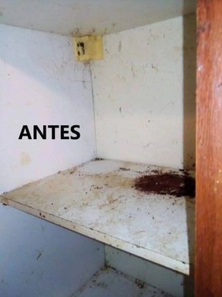 ✨ Limpieza por horas desde 9€ | Casas, pisos y ofi