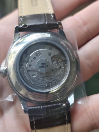Reloj Orient Bambino Verde
