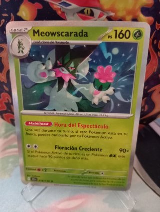 Lote de cartas Pokémon: Flamariete, Kyogre, Zarude