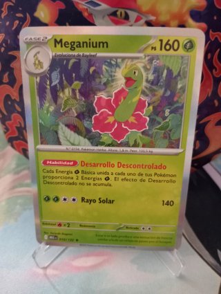 Lote de cartas Pokémon: Flamariete, Kyogre, Zarude
