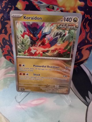 Lote de cartas Pokémon: Flamariete, Kyogre, Zarude