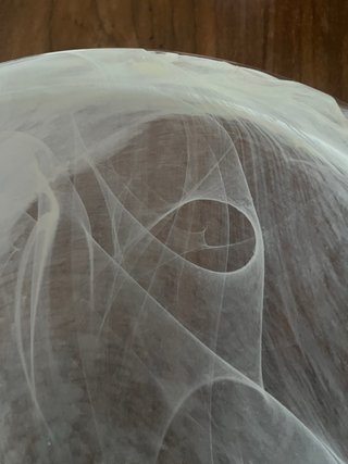 Ciotola in vetro trasparente/bianco d. 30 cm