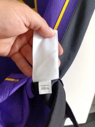Camiseta Nike LeBron James #6 Lakers Morada