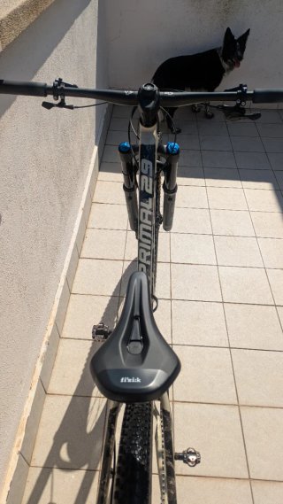 DARTMOOR PRIMAL V2 29