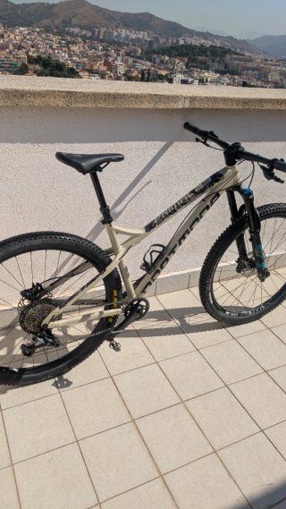 DARTMOOR PRIMAL V2 29