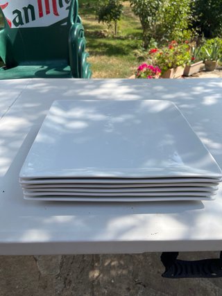 6 Platos Cuadrados Grandes