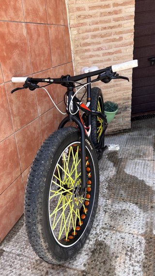 Bicicleta Fat Bike BFT