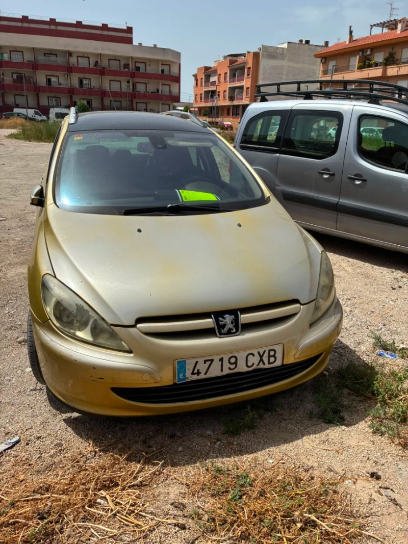 Peugeot 307 2004 - foto 1