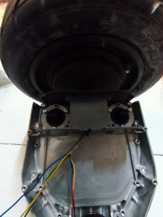 Motores Hoverboard (2 unidades)