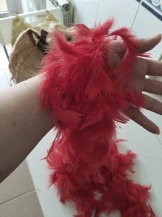 Boa de plumas roja