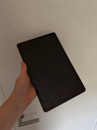 Samsung Galaxy Tab S6 Lite LTE 64GB Gris