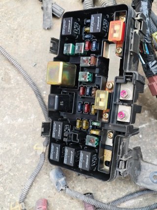 Cableado Honda Civic EM2 Coupé