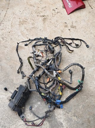 Cableado Honda Civic EM2 Coupé