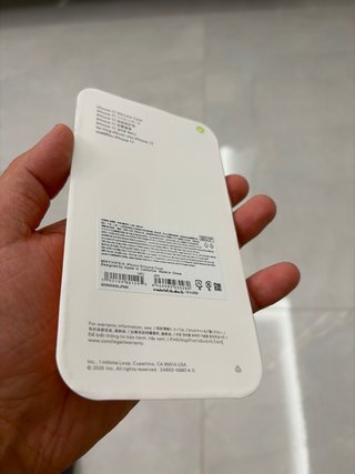 Cover iPhone 17 Arancione Silicone Apple
