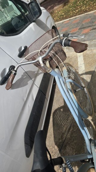 Bicicleta Paseo Azul con Cestas