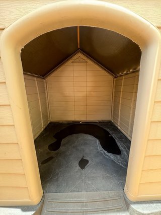 Caseta perro grande 98x91cm