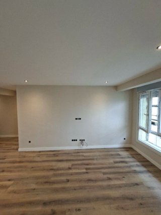 Servicios de pintura profesional