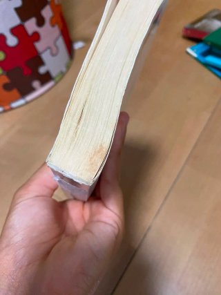 Libro El curiós incident del gos a mitjanit