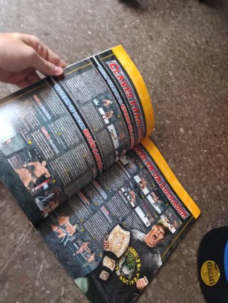 Revista Play Guías Nº 51 - Wrestling y Simpsons