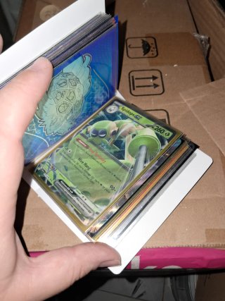Álbums Pokémon Trading Card Game