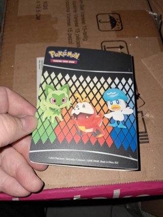 Álbums Pokémon Trading Card Game
