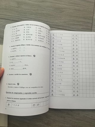 Libro de chino práctico