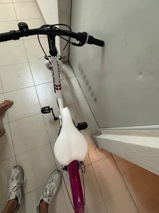 Bicicleta TOPLIFE City 22 pulgadas