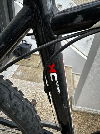 Bicicleta Montanha Bulls Sharptail